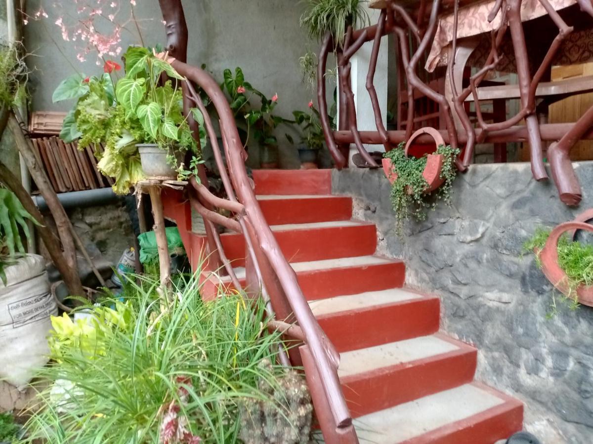 Nimsara Homestay Ella Buitenkant foto