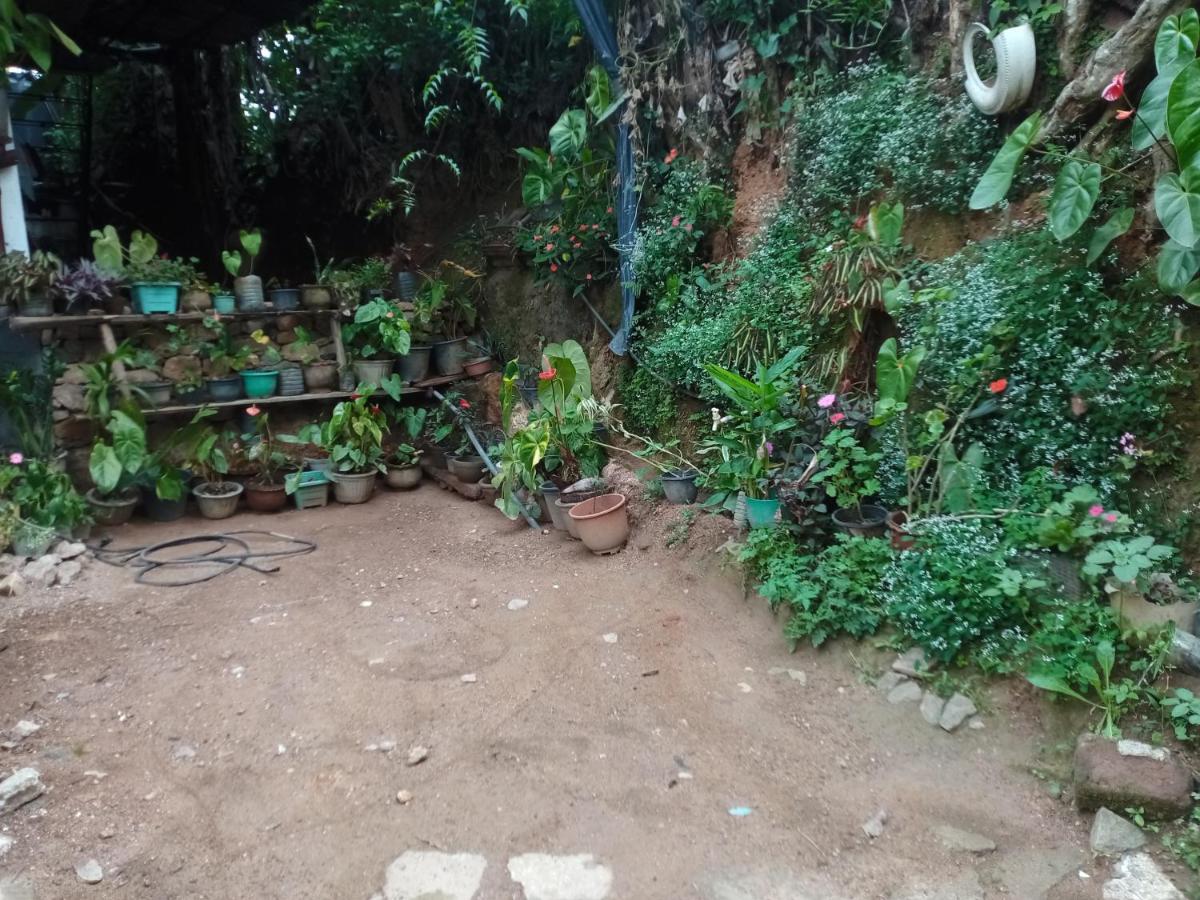 Nimsara Homestay Ella Buitenkant foto