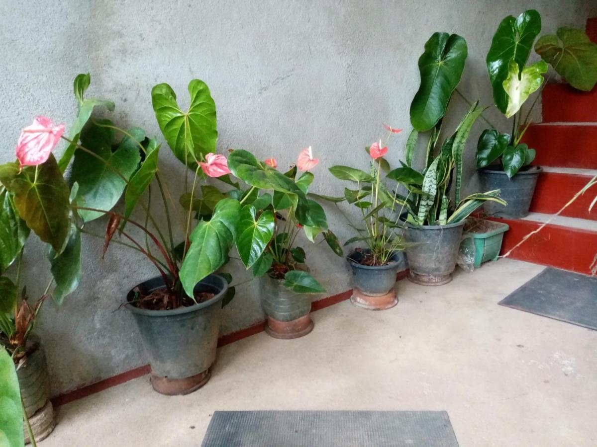 Nimsara Homestay Ella Buitenkant foto