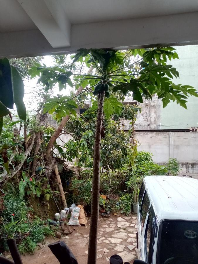 Nimsara Homestay Ella Buitenkant foto